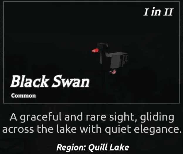 BlackSwan