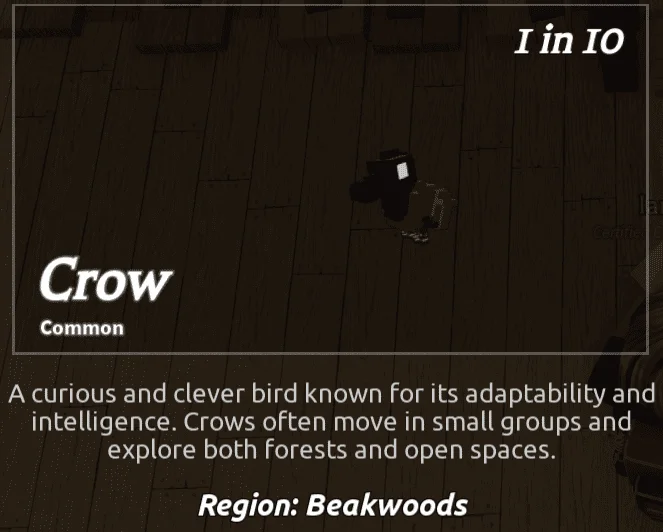 Crow