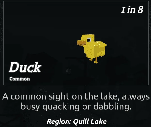 Duck