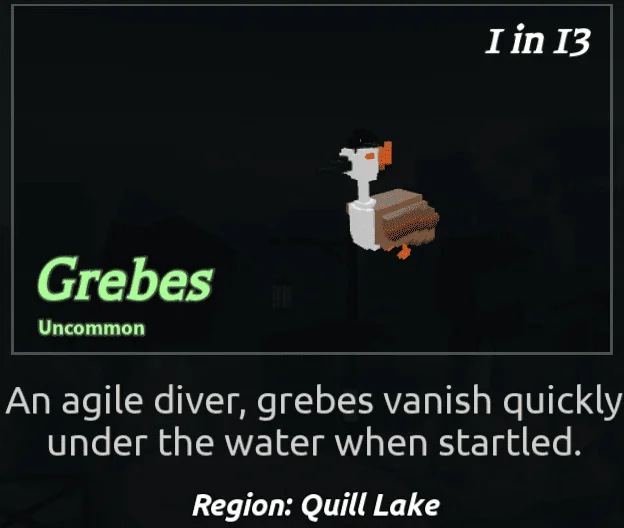 Grebes