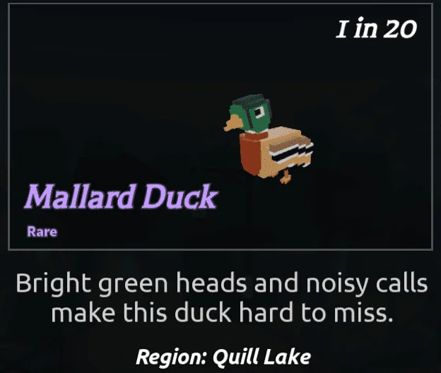 MallardDuck