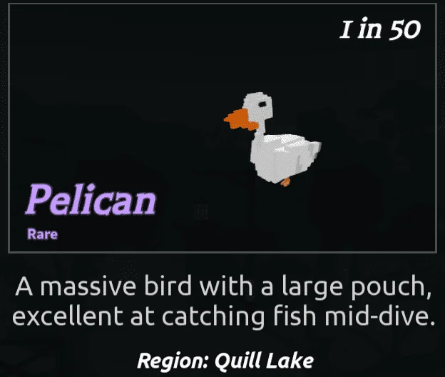 Pelican