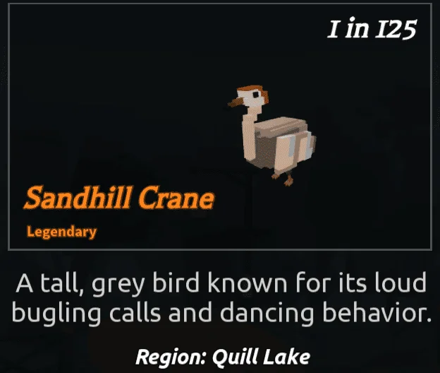 SandhillCrane