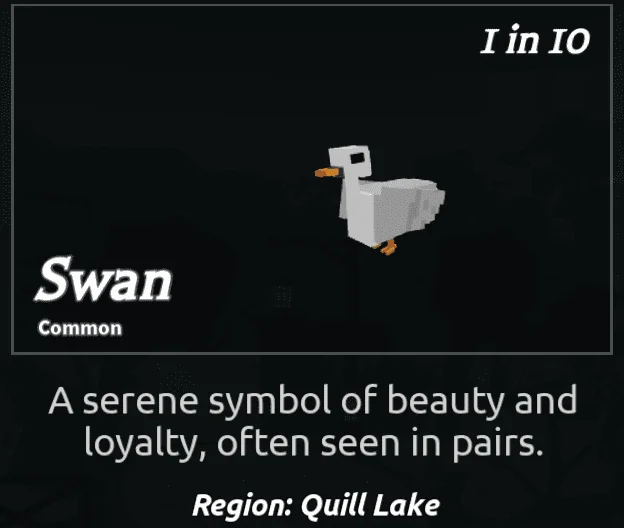 Swan